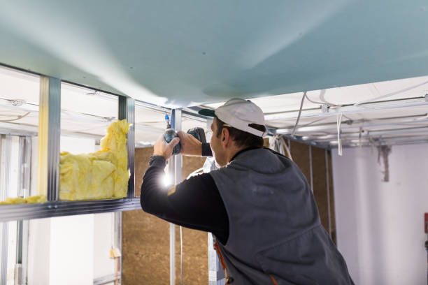 Types of Insulation We Offer in Rochester, MI