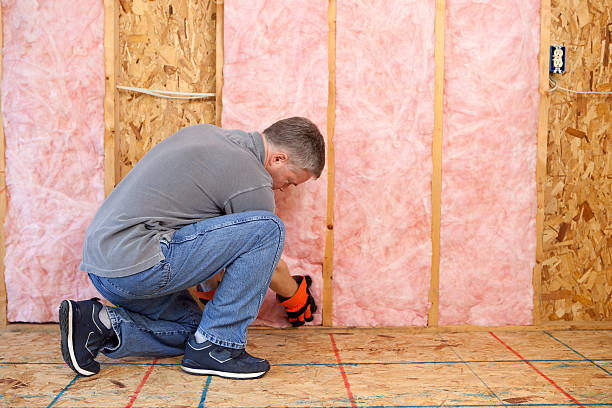 Best Specialized Insulation Services in Rochester, MI